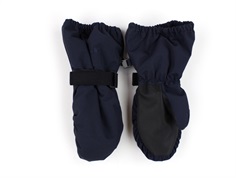 Ver de Terre navy mittens